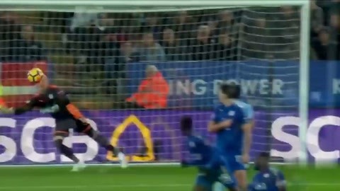 全面发展的 全面发展的